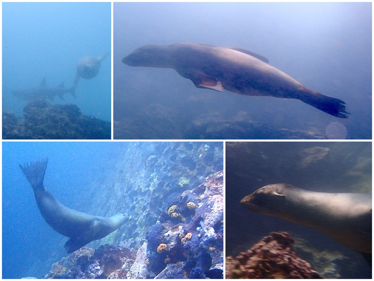 Galapagos San Cristobal