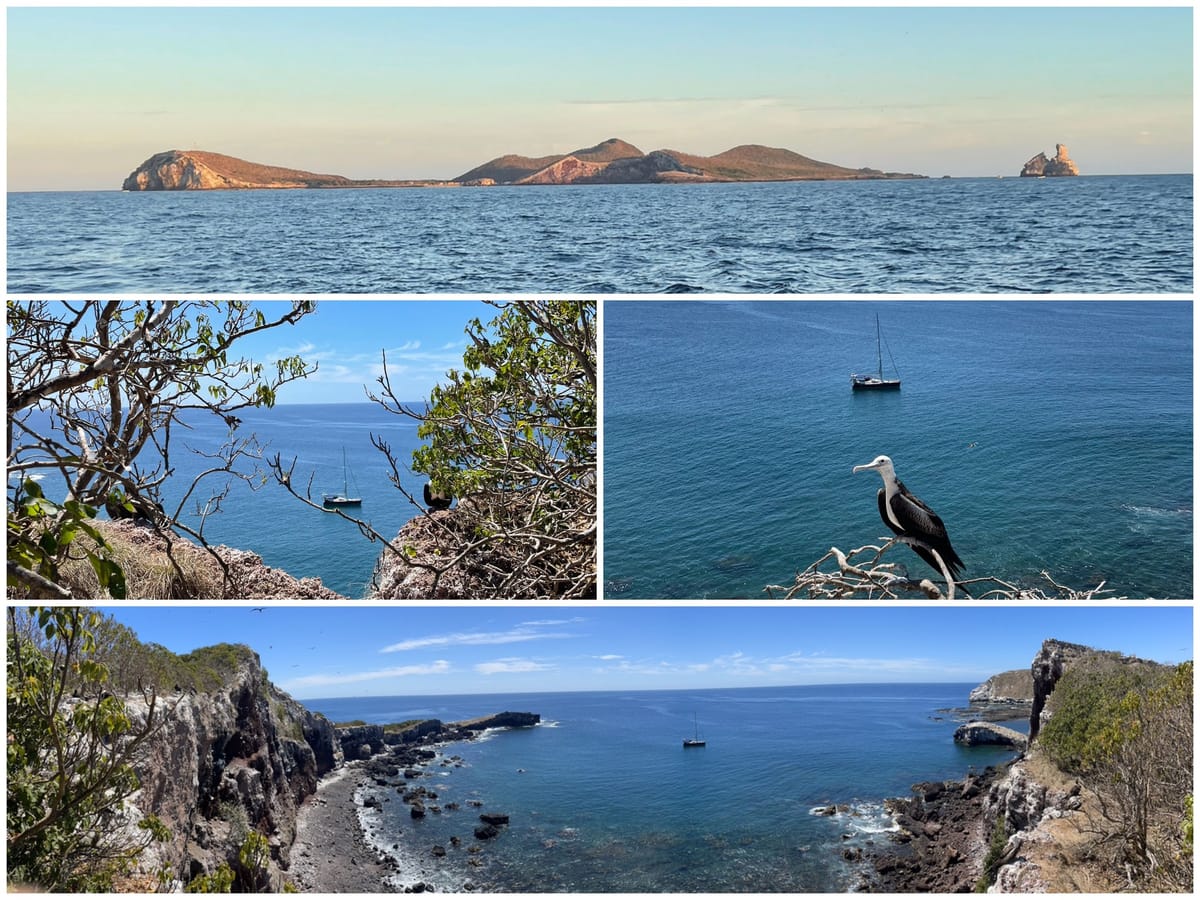 Isla Santa Isabel