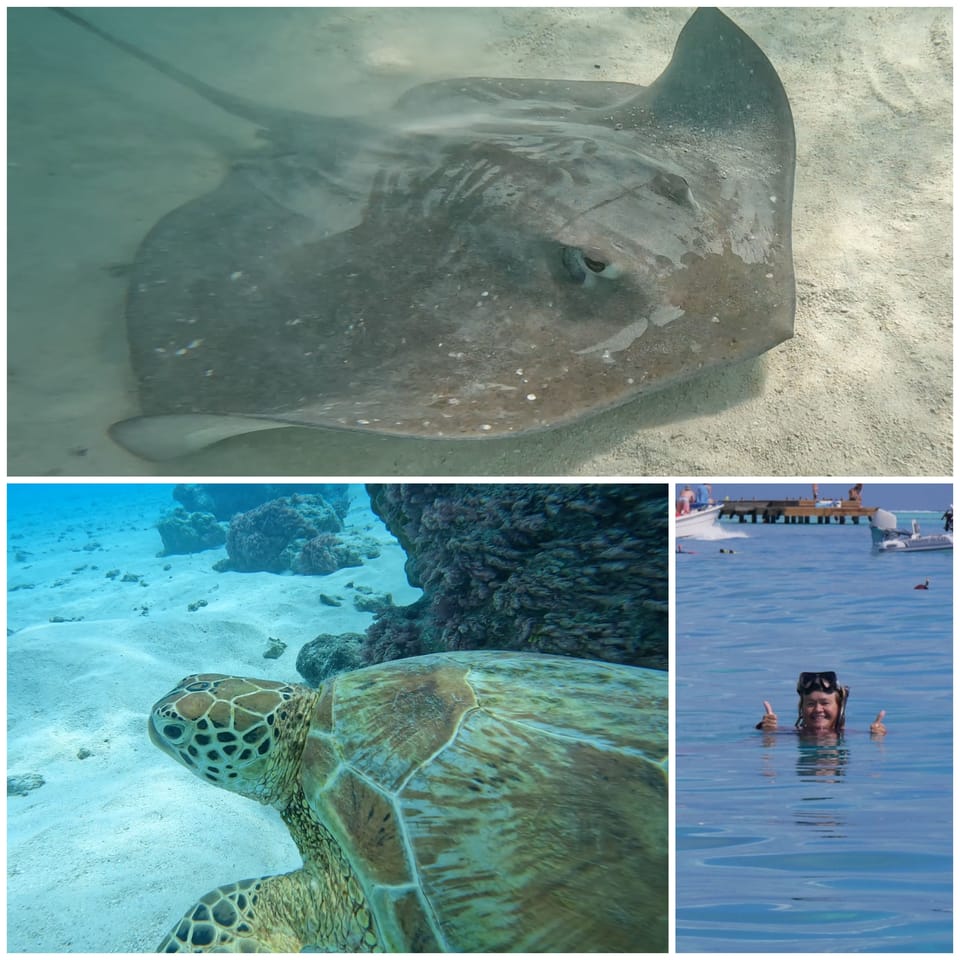 Moorea Schnorchel Tour