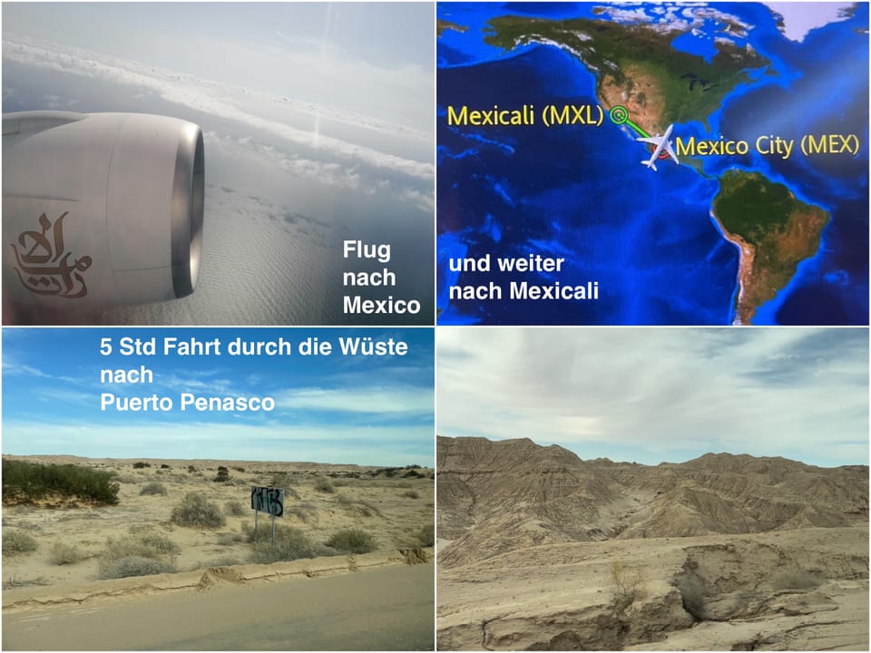 Puerto Penasco - Islas Los Angeles