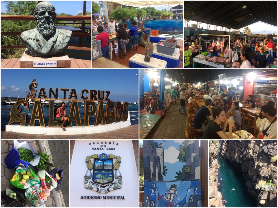 Galapagos Santa Cruz