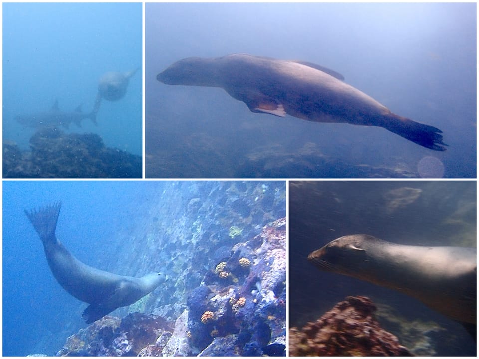 Galapagos San Cristobal