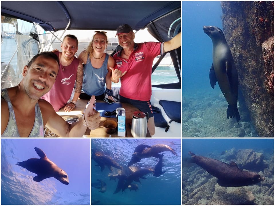 Puerto Escondido - La Paz und           retour